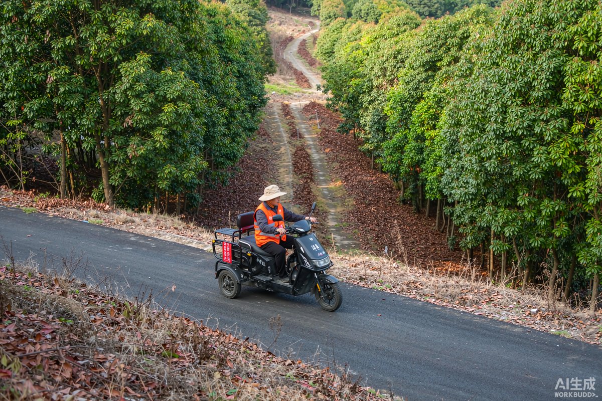 林区巡护道路旁，巡护人员骑行两轮巡逻电动车沿林道巡查，两侧是茂密林带与防火隔离带